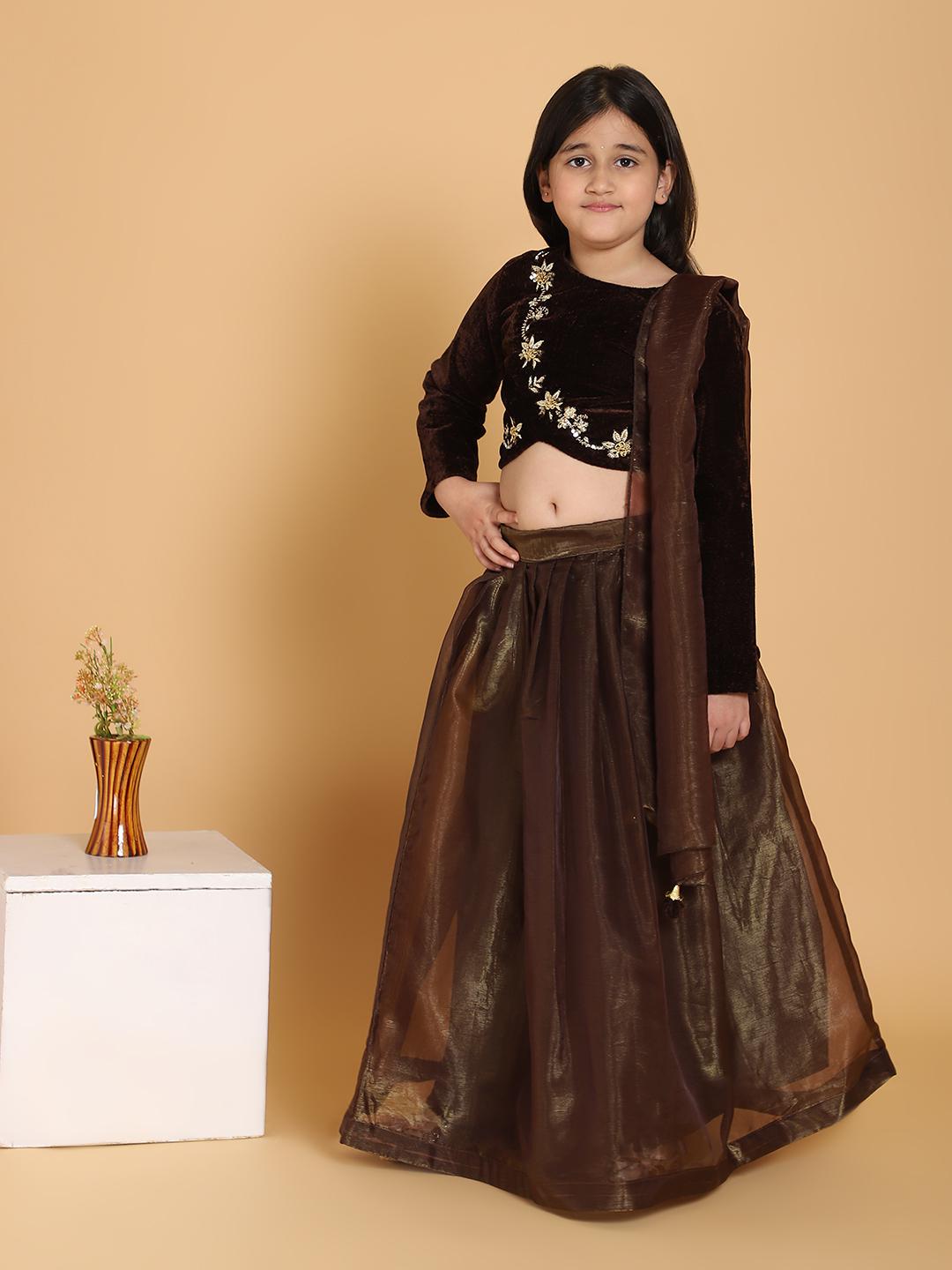 brown-velvet-handwork-choli-lehenga-set-with-dupatta-10509085BR, Kids Indian Ethnic Clothing, Organza Girl Lehenga Set